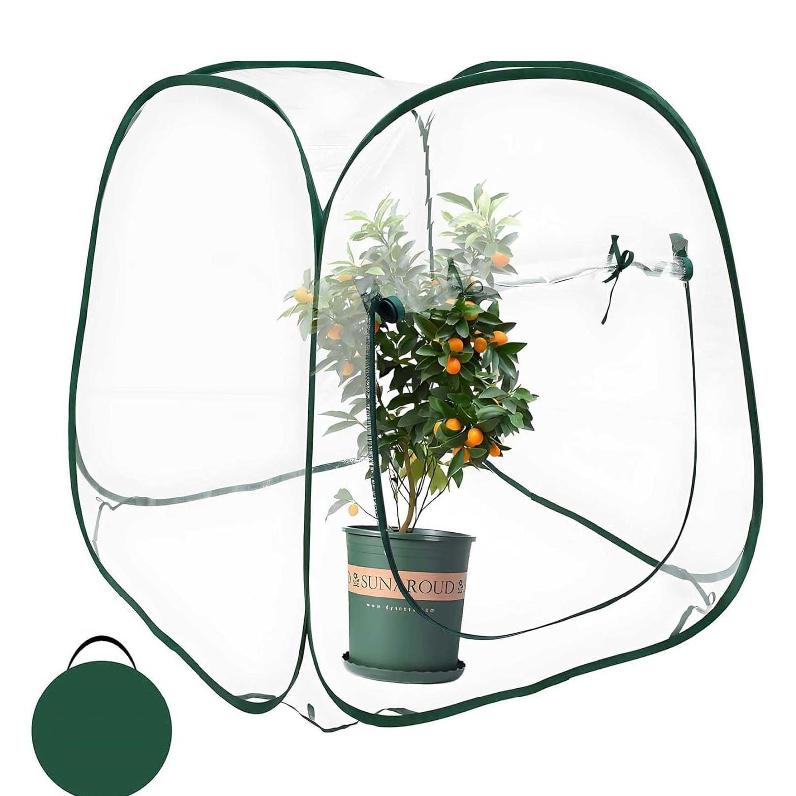 Cubierta de invernadero para plantas, diseño aislado para jardín, materiales protectores de PVC transparente, construcción de marco de acero, cubierta protectora para plantas para varias estaciones