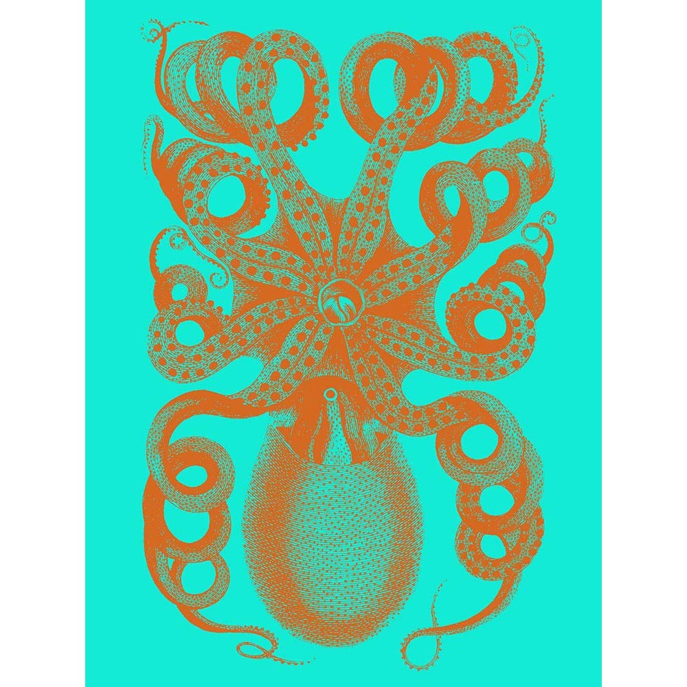 Wee Blue Coo Octopus Orange Blue Illustration Art Print Poster Wall Decor 12X16 Inch