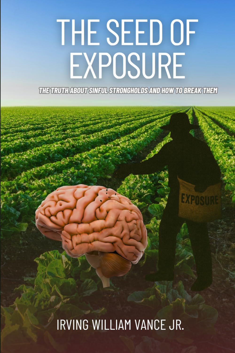 The Seed of Exposure: The Truth About Sinful Strongholds and How to Break Them