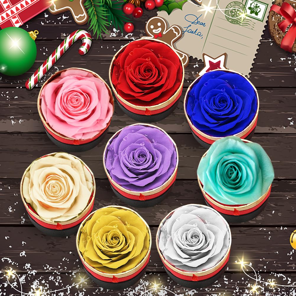 RANJIMA Rosa Stabilizzata Regalo Donna, Festa della Mamma Idee Regalo, Rosa Eterna Regali per Donne Compleanno, Anniversario Fidanzamento, Fiori Stabilizzati Regali Mamma Fidanzata Moglie Sorella