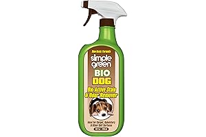 Bio-Active Little Green Formula Stain & Odor Remover for Pets and Carpets