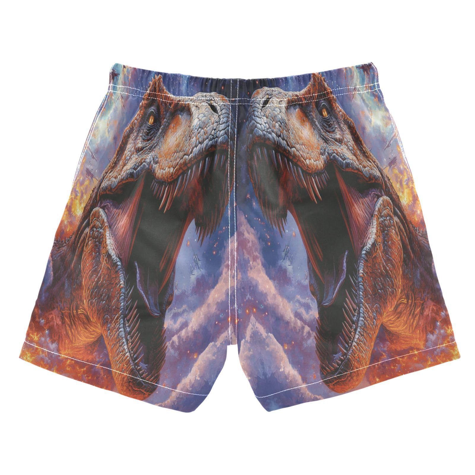 Jucciaco Boys Beach Board Shorts T-rex Galaxy Cool Dinosaur Swim Trunk Teen Swimwear
