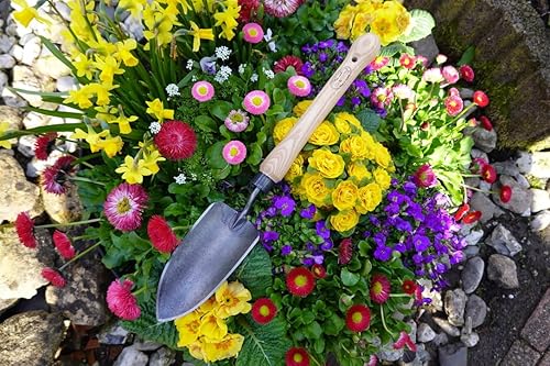 Miniatura 2 de Dewit Paleta con mango de tamaño mediano, herramienta de jardín para raíces y plantación