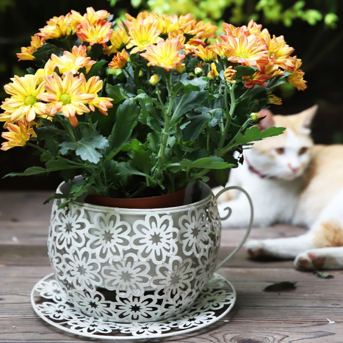 Planter - Vintage Teacup Flower Pot with Saucer, White Coffee Cup Garden Holder