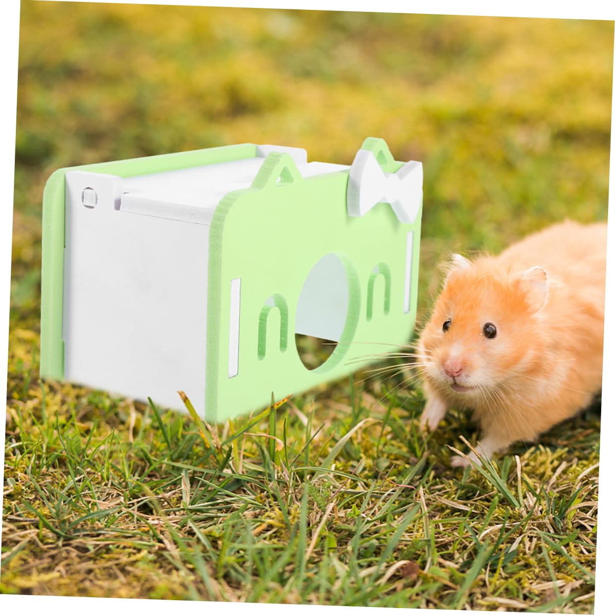 Thumbnail