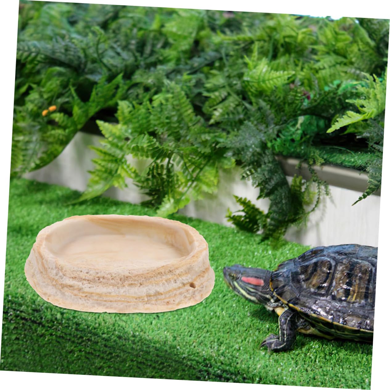 2 Cuencos de Resina para Comedero de Reptiles, Diseño de Espacio y Borde Antivuelco, para Lagartos, Geckos y Tortugas en Terrarios