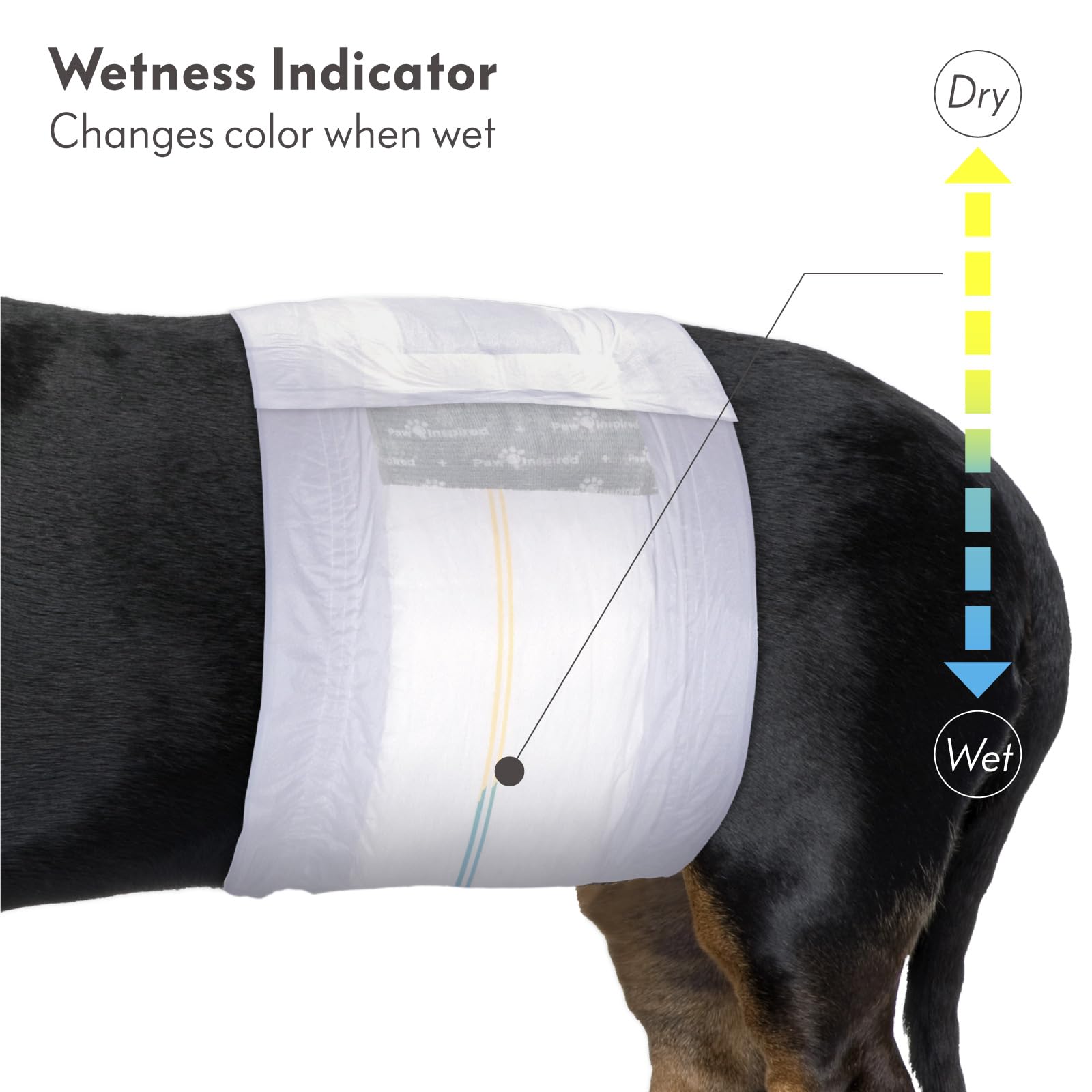 Paw Inspired Select Fit - Pañales desechables para perros machos, con indicador de humedad, bandas para el vientre para perros pequeños, medianos y grandes (M, 20 unidades)