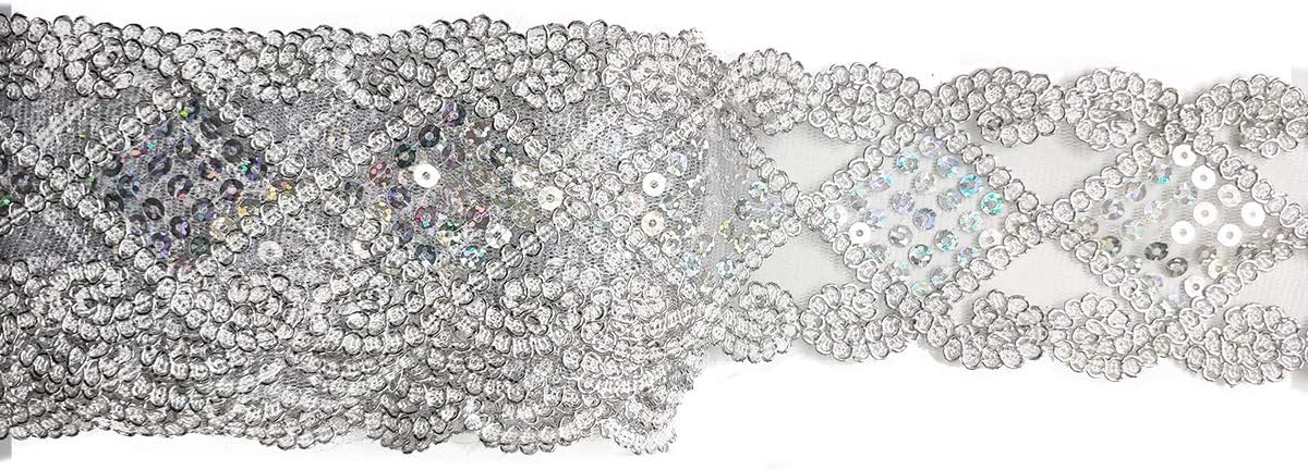 levylisa 10 Yards Beaded Lace Trim Sequins Lace Mesh Trim Lace Ribbon Applique Sewing Craft Supplies (Silver)