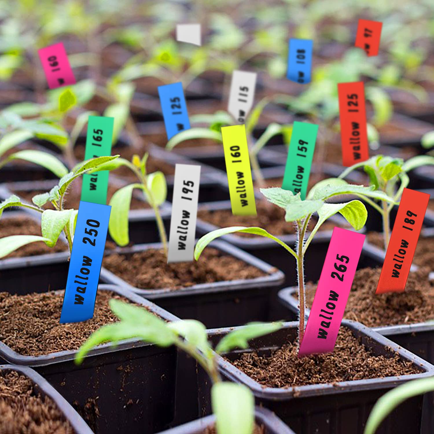 Marcadores Plástico PVC Etiquetas Para Plantas De PVC - 100 Unidades Multicolor, 16cm, Reutilizables, Para Huerto Y Macetas Etiquetas Plantas Jardin