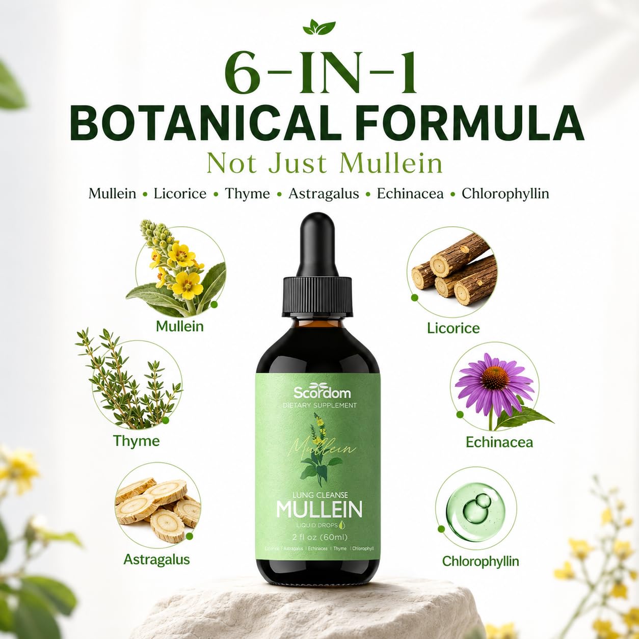 Mullein Drops for Lungs Cleanse & Detox, 6 in 1 - Mullein Leaf Tincture with Licorice, Astragalus, Echinacea, Thyme, Chlorophyll, Supports Respiratory Health, 2 fl oz | 60 ml - 1 Month Supply — Amazon image 5