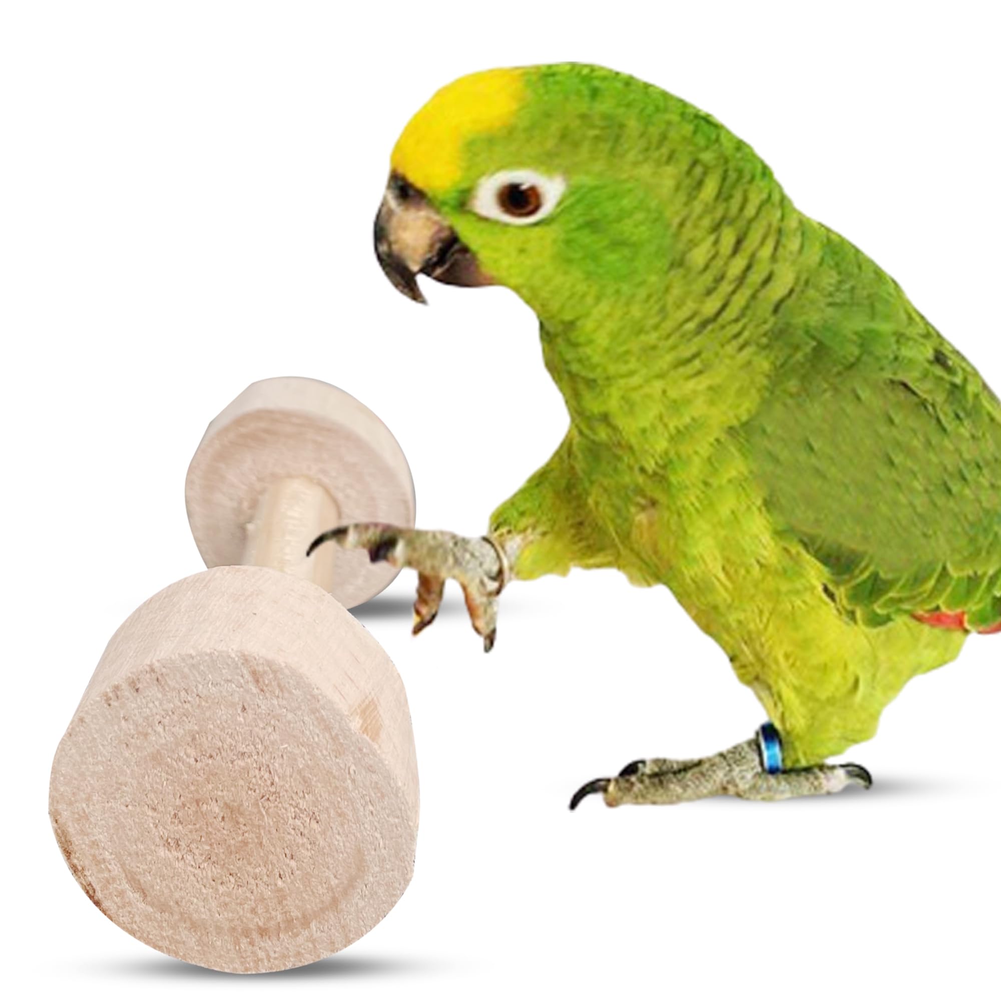 See full amazon price history chart for Congo® 2pc. 4.5X2 Inch Rolling Roller Toy for Finches, Budgies, Conures, Lovebirds, Cockatiels and Other Birds (Pack of 2) Congo® 2pc. 4.5X2 Inch Rolling Roller Toy for Finches, Budgies, Conures, Lovebirds, Cockatiels and Other Birds (Pack of 2) (B09FLVD4CD) Amazon Price History, Amazon Price Tracker