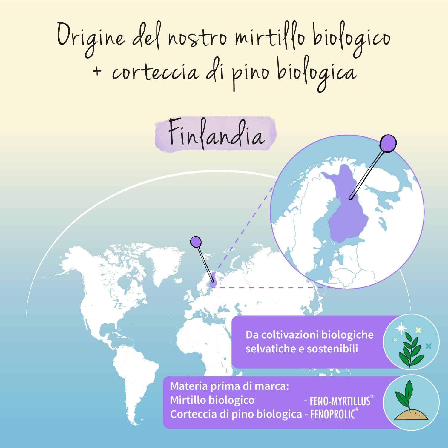 MIRTILLO NERO BIO Vegavero® | L’UNICO BIOLOGICO | con Corteccia di Pino | Benessere del MICROCIRCOLO e della VISTA | 90 capsule | Bilberry | Vegan