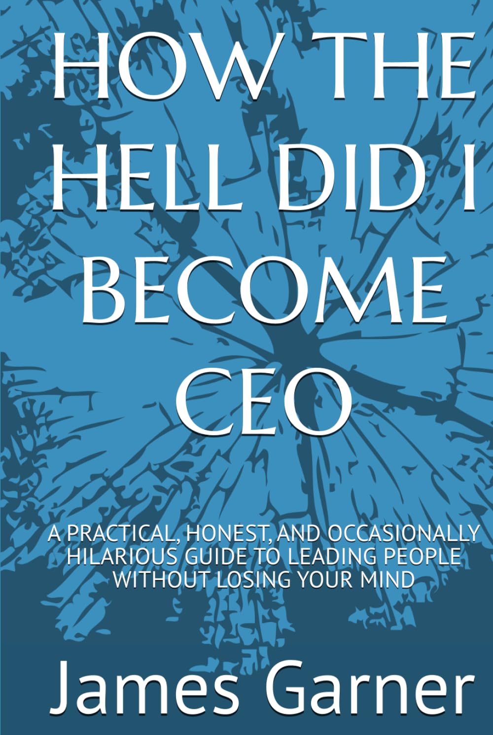HOW THE HELL DID I BECOME CEO: A PRACTICAL, HONEST, AND OCCASIONALLY HILARIOUS GUIDE TO LEADING PEOPLE WITHOUT LOSING YOUR MIND