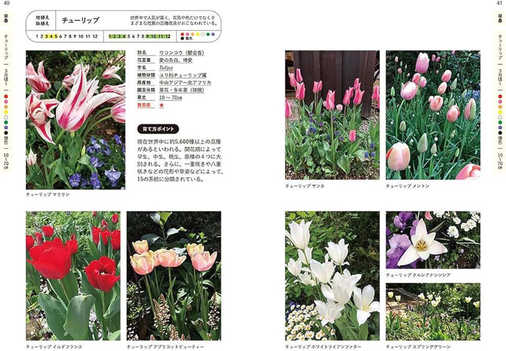 決定版! 花事典800 | 宇田川 佳子 |本 | 通販 | Amazon 決定版! 花事典800 | 宇田川 佳子 |本 | 通販 | Amazon