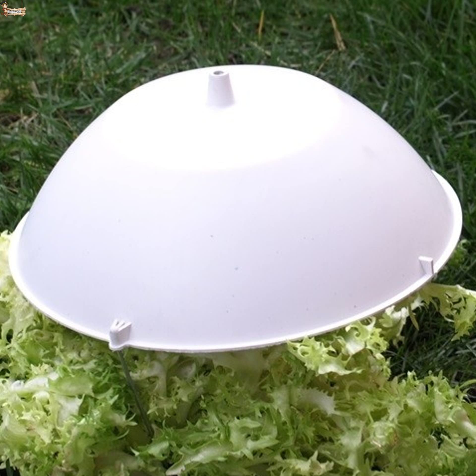 BricoLoco.com Czapka z kapeluszem obejmuje szkarolę, sałatę, ogród warzywny. Wielokrotnego użytku !!! 29,5 cms. pąki kapusty, warzywa i rośliny. Wybielacz szkarola. (5)