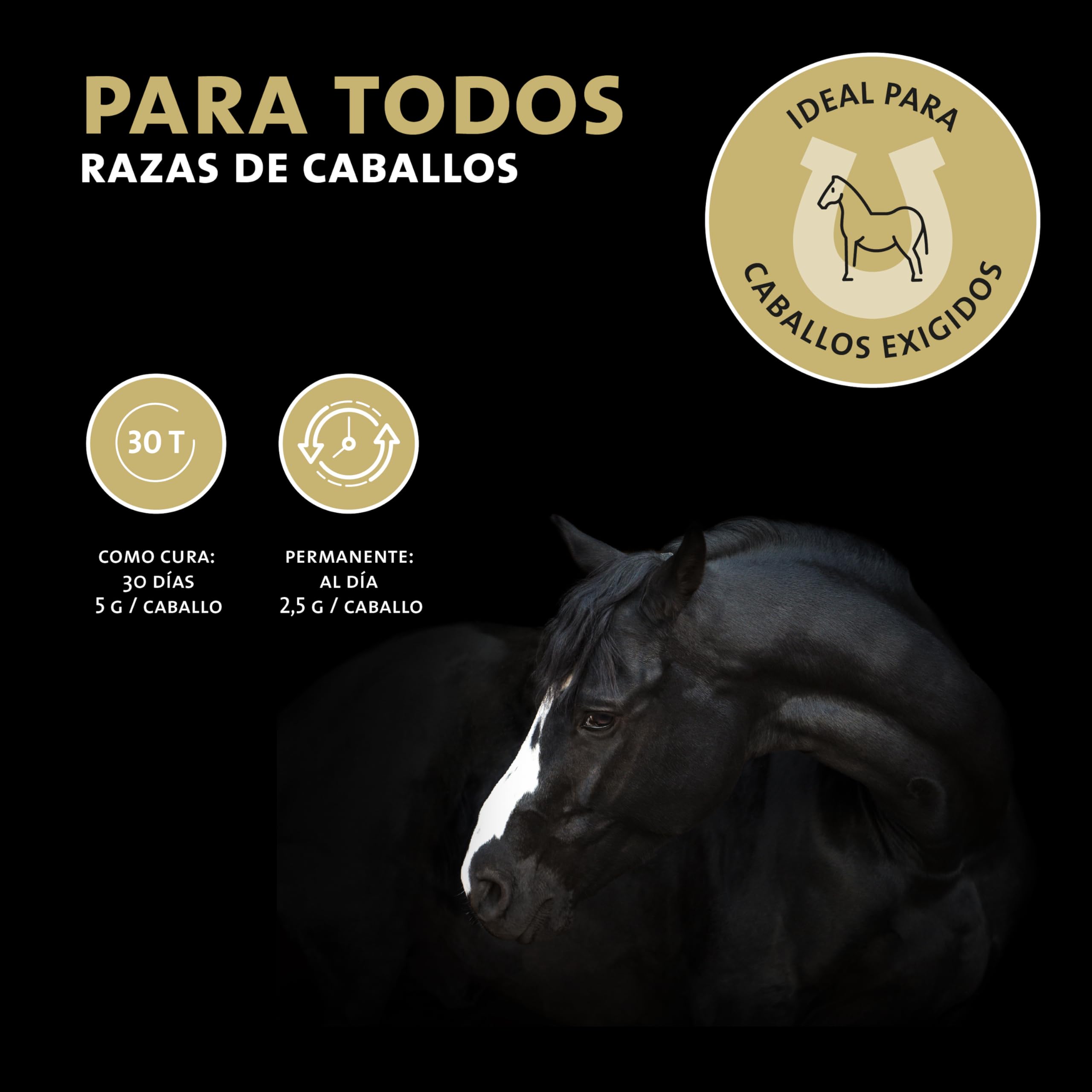 Peticare antioxidantes para Caballos | Apoyo al daño Celular y fortalecimiento inmunológico, Esfuerzo | con Ingredientes Naturales | para el estrés oxidativo | petHorse Health 4607