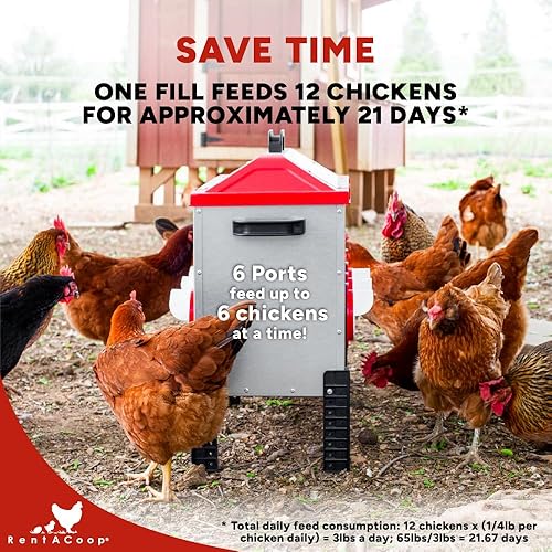 Vista 13 de RentACoop Flock Feeder 15 comedero de metal Chick2Chicken - Alimentador de aves de corral resistente a la intemperie que ahorra espacio con 6