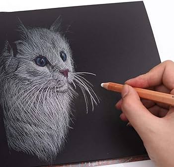 Amazon | ホワイトスケッチチャコール鉛筆 スケッチハイライト 描画