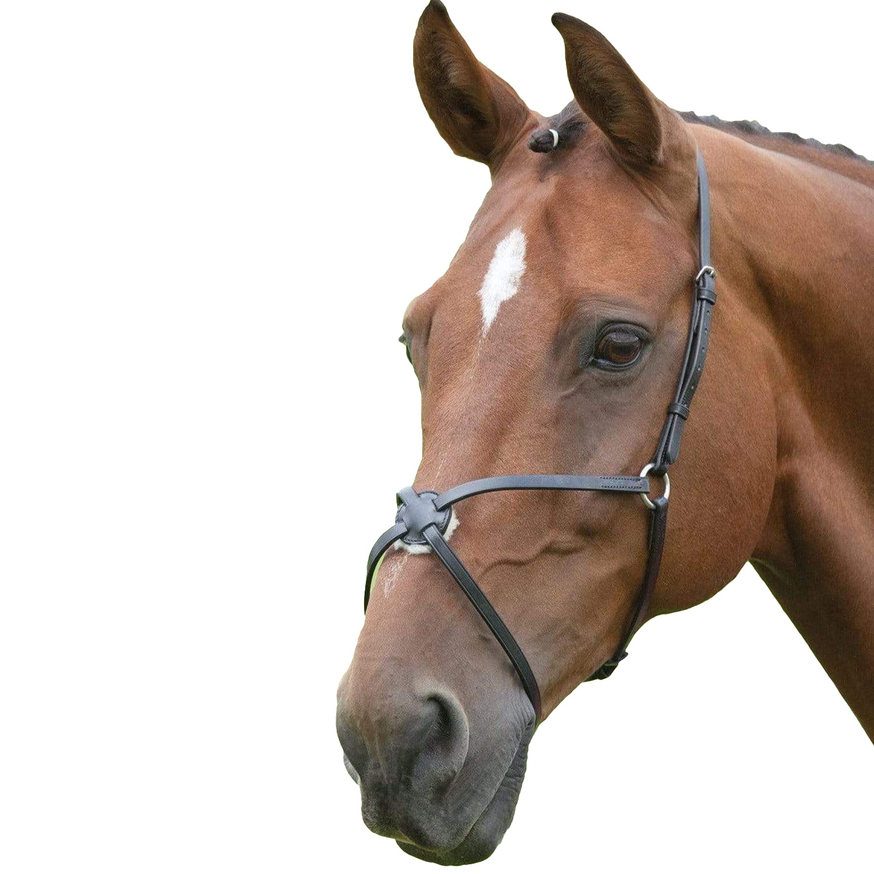Shires Blenheim Mexican Noseband Cob Black