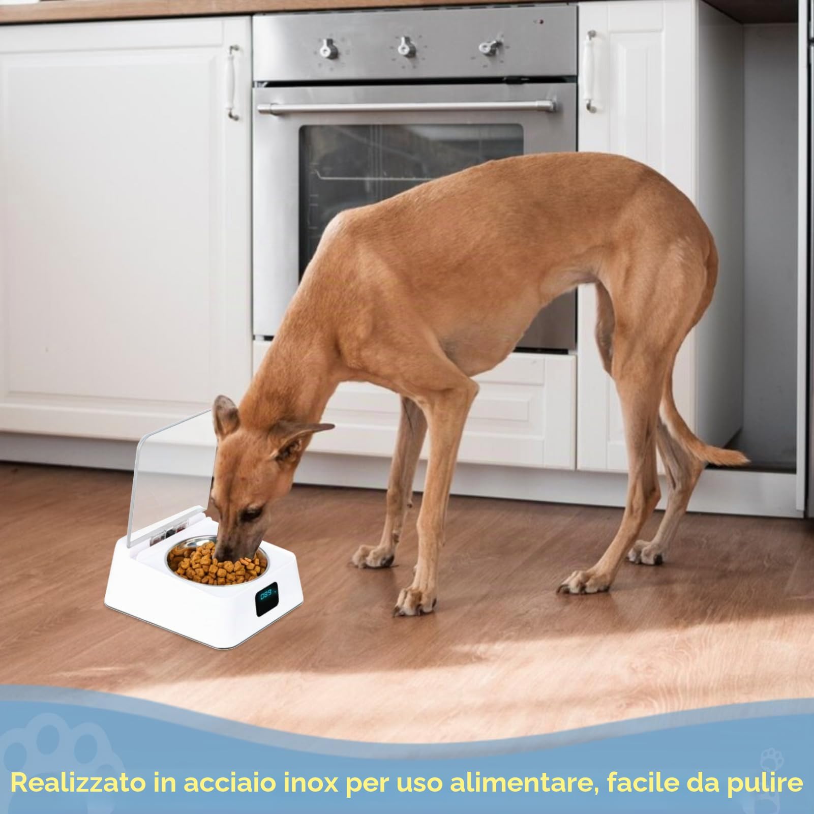 Mangiatoia Automatica Per Gatti, Distributore di Alimenti Per Animali Domestici con Apertura a Induzione da 350 Ml Alimentatore Automatico Per Animali Domestici Per Cani Gatti