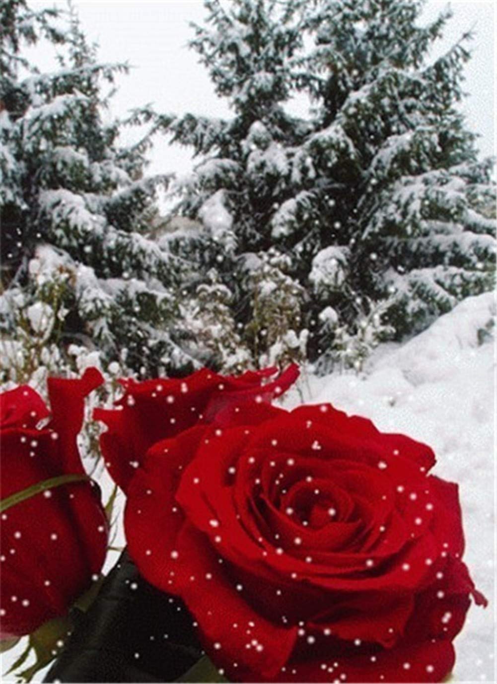 Diamond Painting Rosier d'Hiver Broderie 5D Round Drill 70x90cm