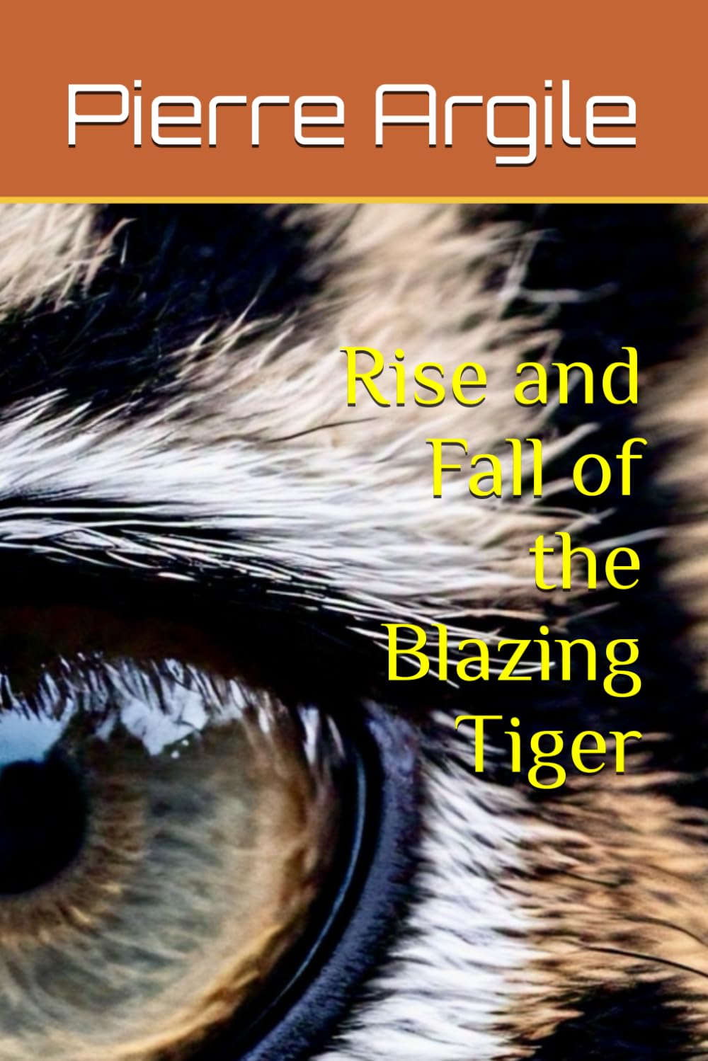 Rise and Fall of the Blazing Tiger