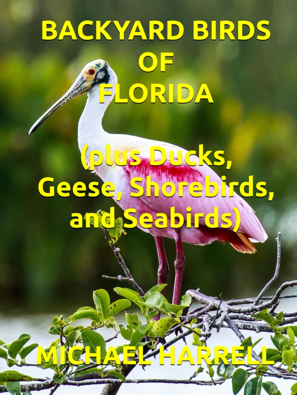 BACKYARD BIRDS OF FLORIDA (Wildlife of North America and other educational books.)      Hardcover – February 11, 2024