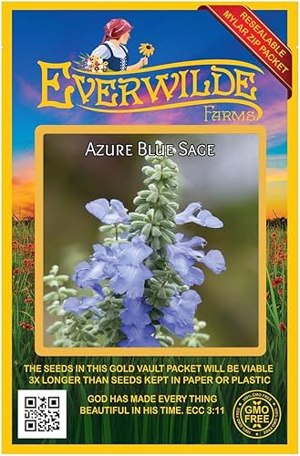 Everwilde Farms - 50 semillas de flores silvestres nativas de salvia azul - Paquete de semillas Gold Vault