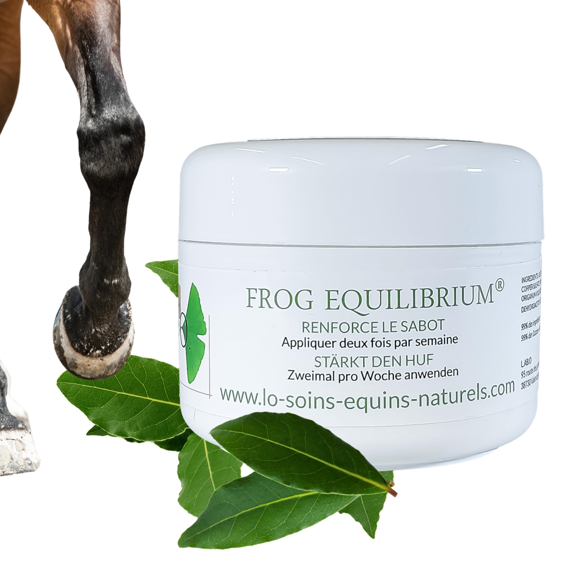 Frog Equilibrium - Soin, Graisse Onguent Naturel pour Sabots pour Cheval (Sabot cassant, infecté, bleime, seime...) - Aux Plantes, Olive, Laurier, Tea-treee, Origan - Toute Saison (250mL)