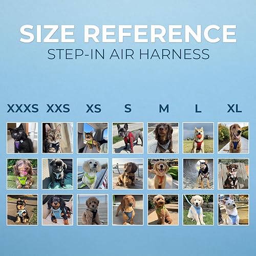 Miniatura 6 de Best Pet Supplies - Conjunto de arnés Step-in Air para cualquier clima y correa reflectante de 5 pies con mango de neopreno Voyager, para perros