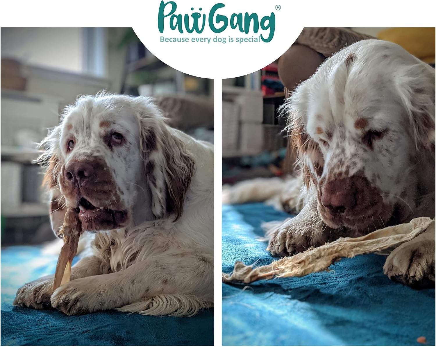 PawGang, Rabbit Ears with Fur 200g (14-16 Furry Ears), 100% Natural Treats for Dogs Puppies Adult Old Small Large - Image 5