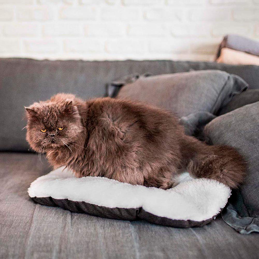 Ferplast Cuscino Cane e Gatto RELAX 55/4, Lettino per Cani Gatti Animali Domestici, Materassino, Cuscino Imbottito per Cuccia Cane e Gatto, Ovale, Pe luche e Cotone, Lavabile, 55 x 36 cm