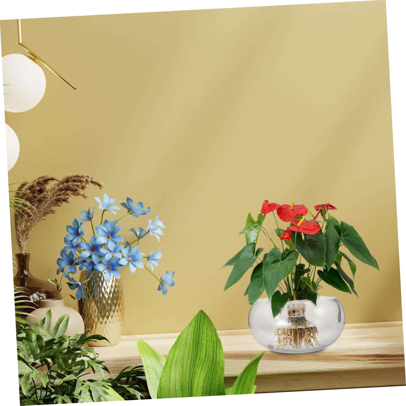 Szklany Wazon Na Sukulenty I Kwiaty Lotosu Przezroczysty Pojemnik Hydroponiczny Miska Na Ryby Szklany Zbiornik Na Akwarium Szklana Donica Bonsai Rośliny Doniczkowe