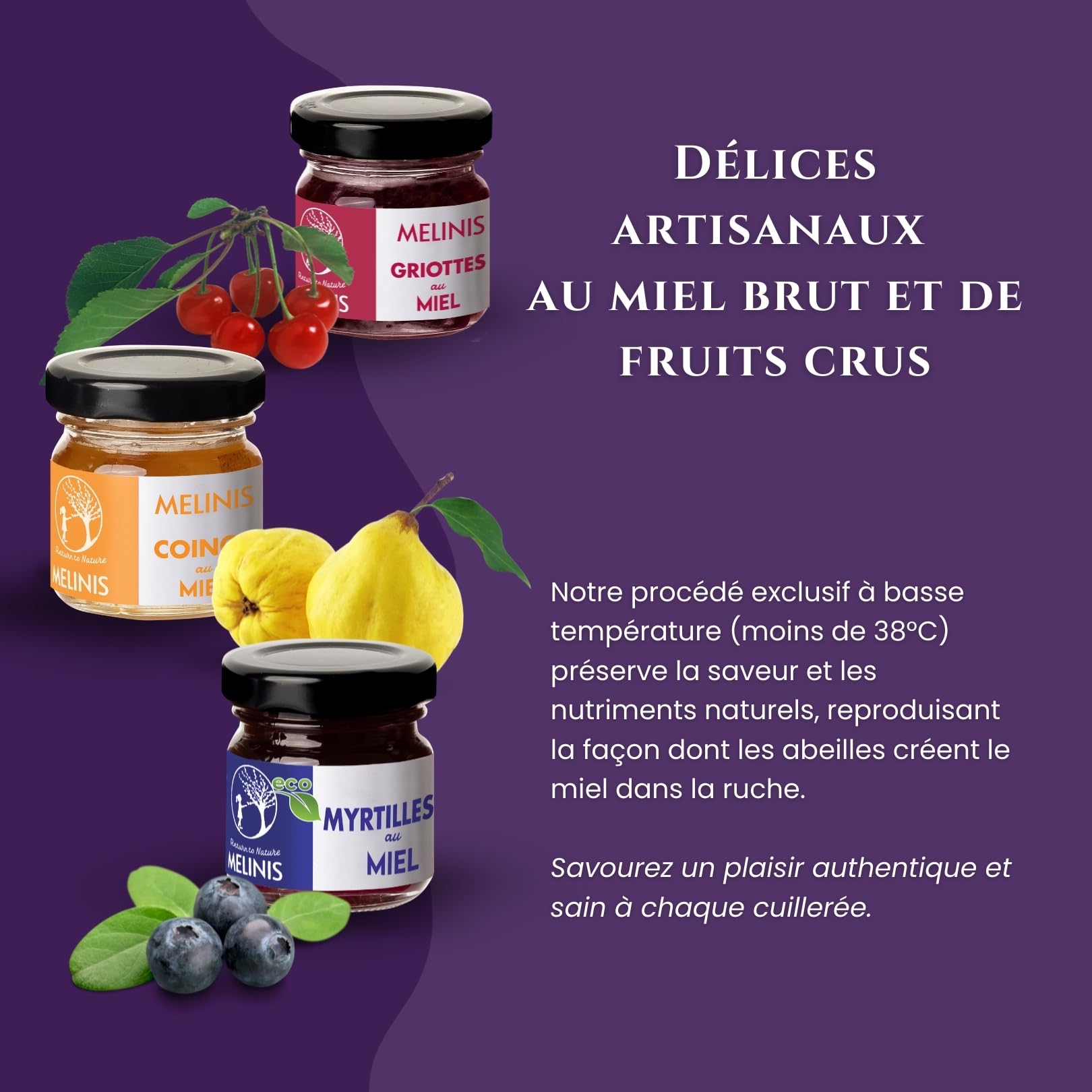 Coffret Dégustation 3 × 40 g – Miel Bio Tartinable aux Myrtilles, Coings Bereczki et Griottes – Sans Sucre Ajouté – Tartinables Naturels pour Petit-Déjeuner, Snacks et Cadeau Gourmet – Melinis