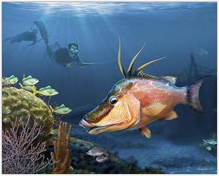 Hog snapper spearfishing wall art Christmas gift for hogfish spearfisherman, hand-signed.