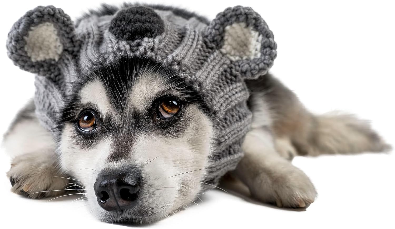 Zoo Snoods Koala Costume - Warm Knit Dog Snood Wrap for Pets, Neck Ear Cover Protection, Halloween Winter (Medium)