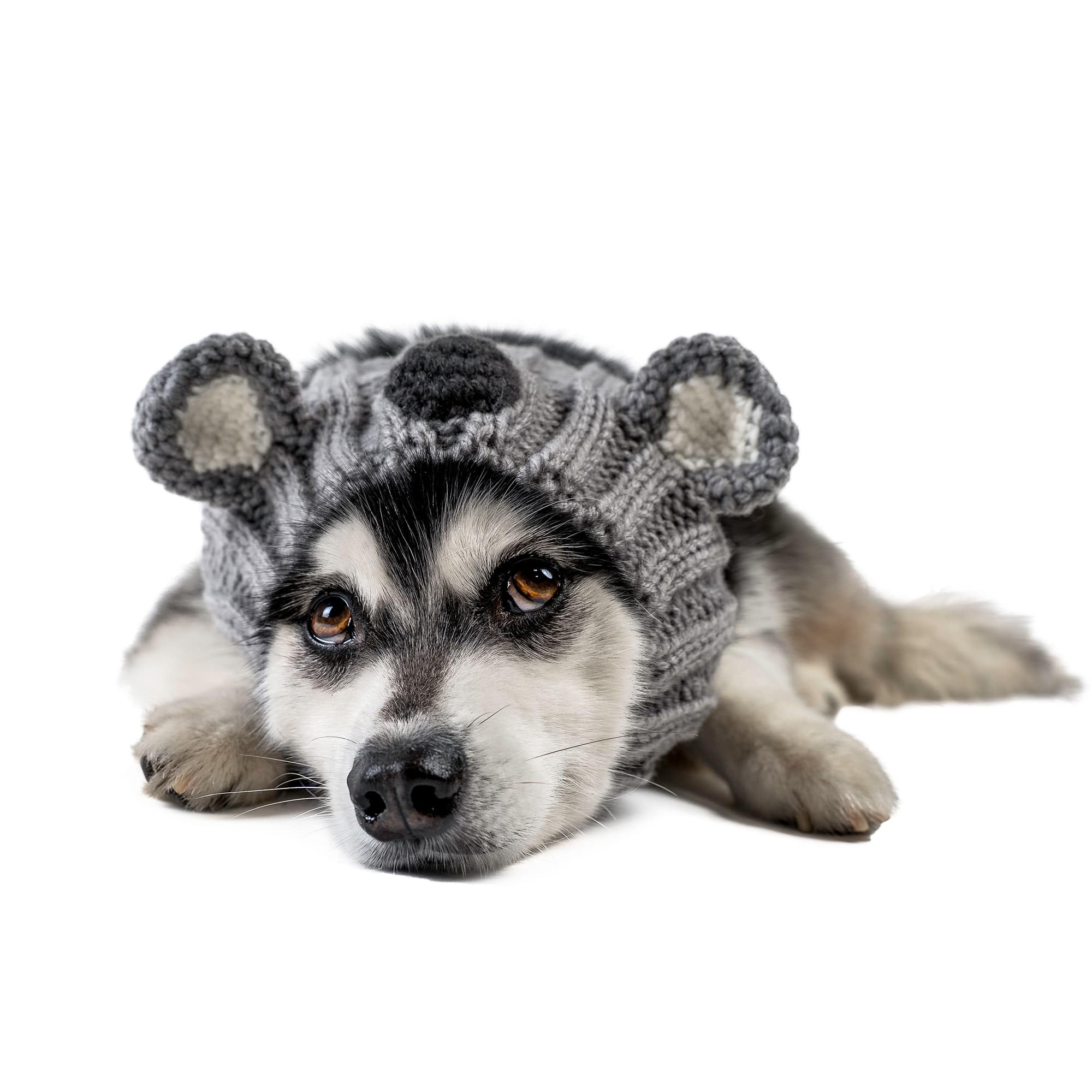 Zoo Snoods Koala Costume - Warm Knit Dog Snood Wrap for Pets, Neck Ear Cover Protection, Halloween Winter (Medium)