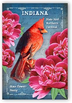 INDIANA BIRD AND FLOWER postcard set of 20 identical postcards. IN state symbols post cards. Made in USA.