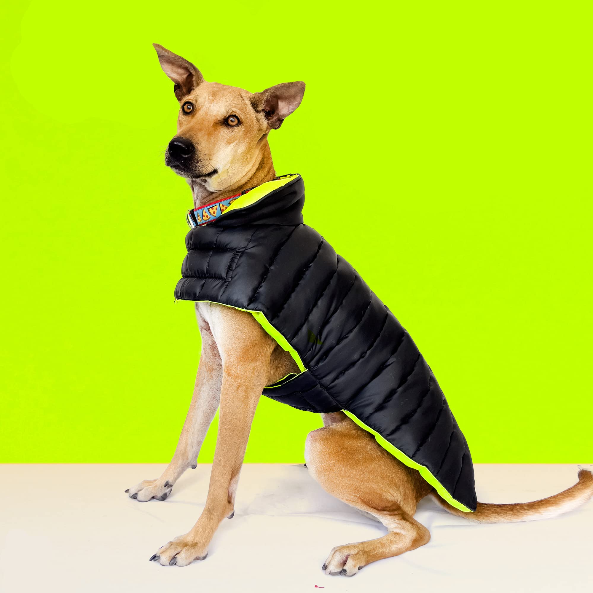 That Dog In Tuxedo Colour Pop Puffer Dog Winter Jacket for Pets/Reversible Dog Jacket - Black/Neon (26) (B09QJ27VLJ) Amazon Price History, Amazon Price Tracker