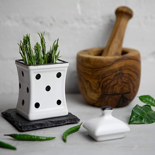 Miniatura 4 de City to Cottage Hierba de cocina de cerámica pequeña hecha a mano de 5.3 oz5.1 fl oz, especias, tarro de almacenamiento con tapa, recipiente de