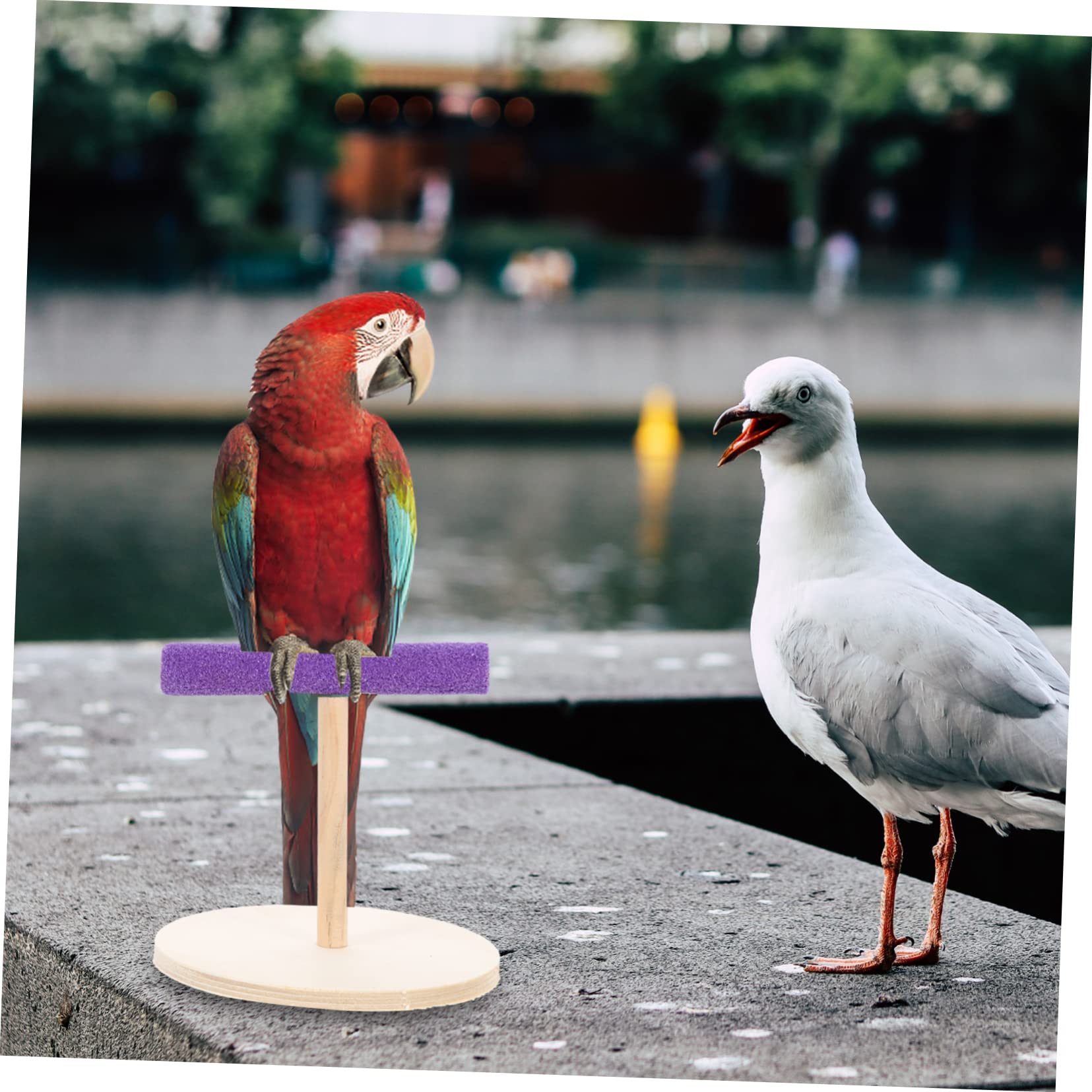 Yardwe 5pièces Perchoir pour Oiseaux Plateforme Attrayante pour Perroquets Accessoire Naturel Et Jouet Éducatif pour Oiseaux De Compagnie