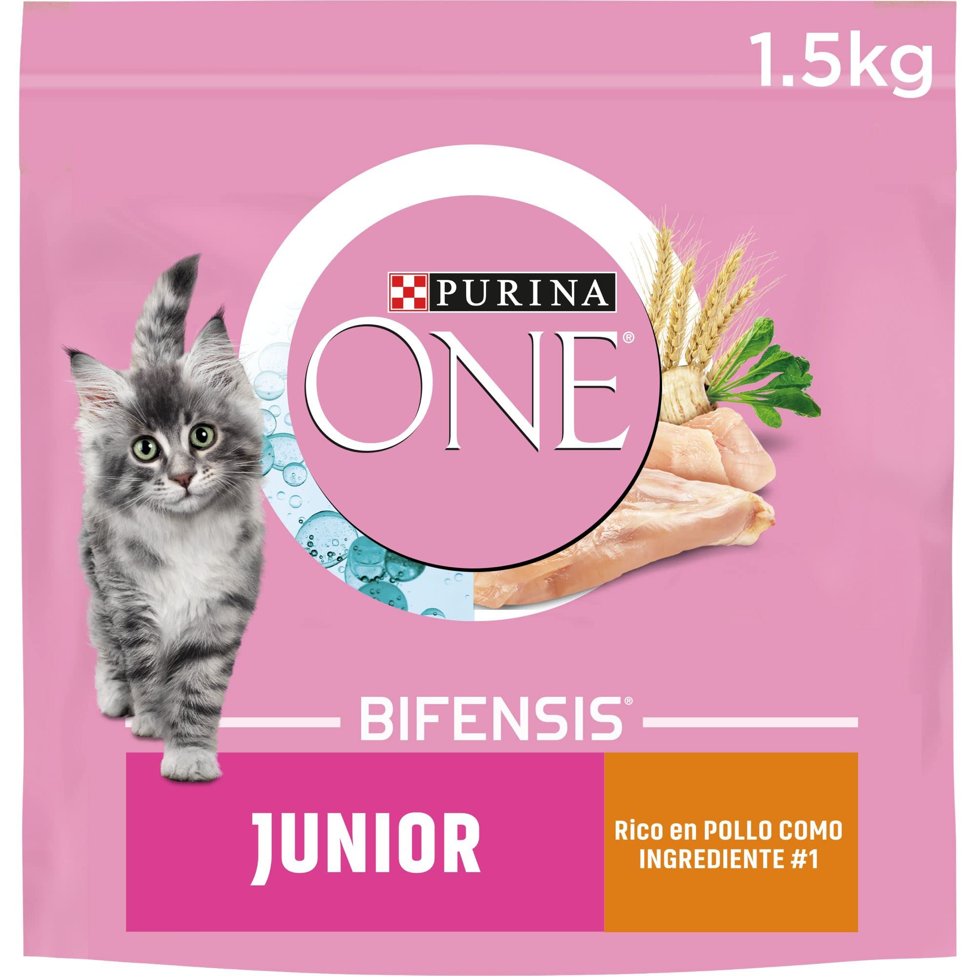 Purina ONE Bifensis Comida Pienso para gato Junior, bebe o gatito con Pollo y Cereales, 6 bolsas de 1,5kg