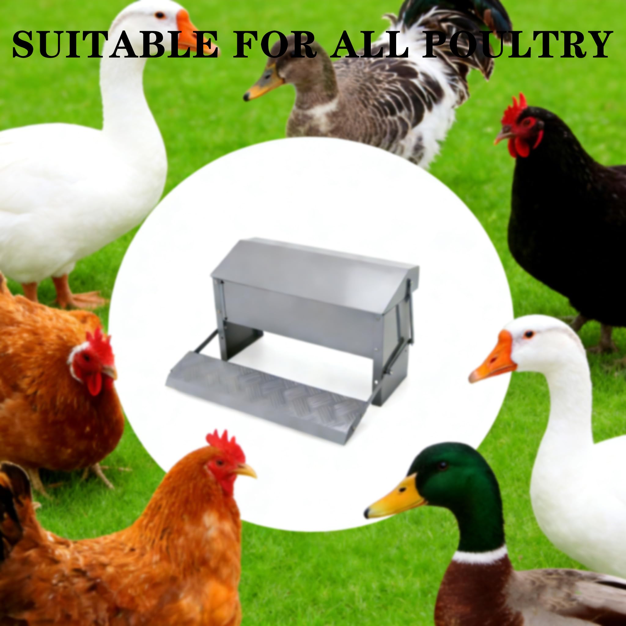 Comedero AutomáTico para Pollos, Comedero De Acero Inoxidable para Uso Intensivo, Resistente Al Agua Y A Prueba De Ratas Comedero para Aves De Corral, para Gallinas Aves Corral,Plata