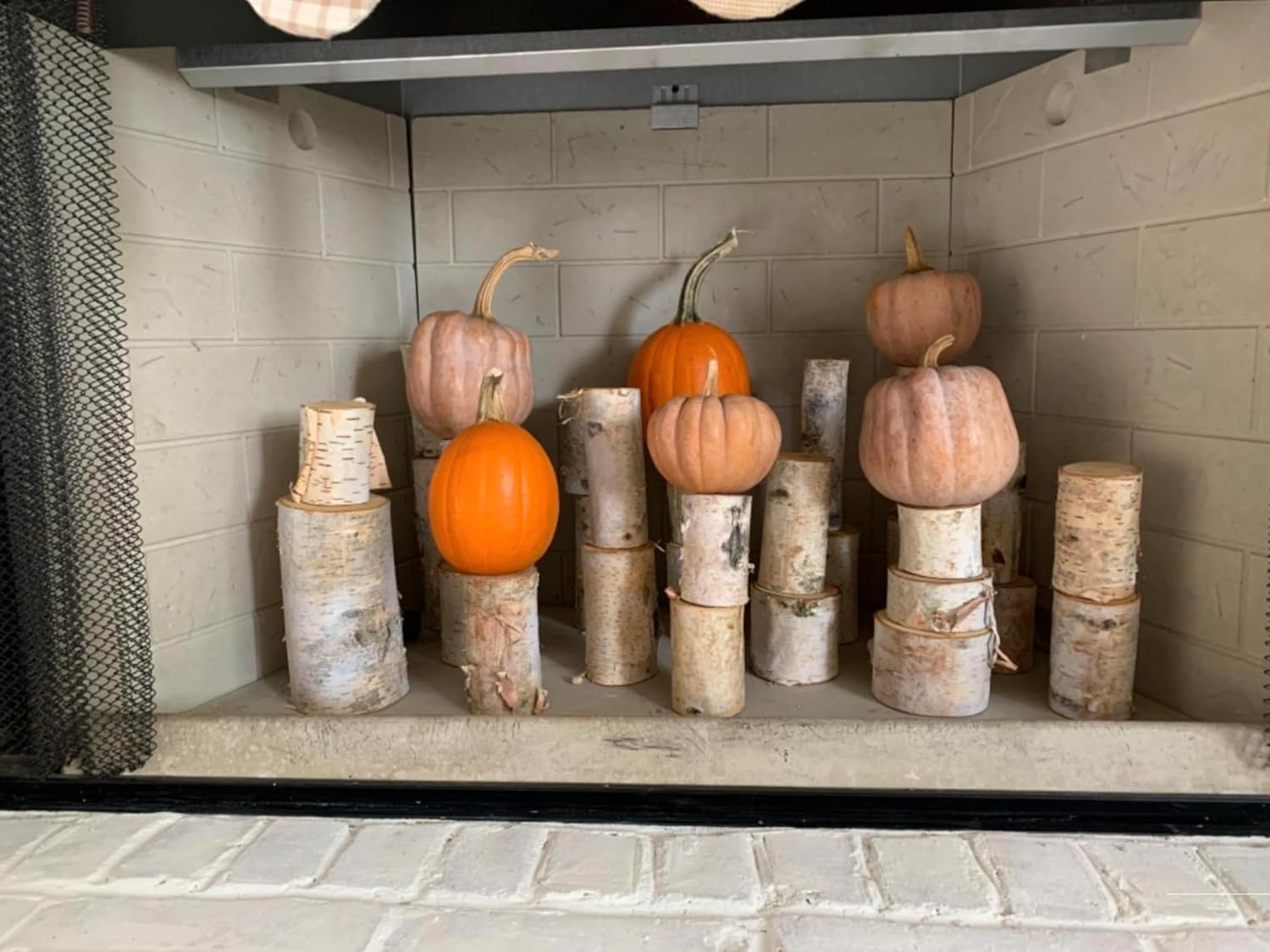 Wilson Birch Log Pieces (15 lbs) Varying Sizes from 1" - 3" Diameter x 2" - 4" Length