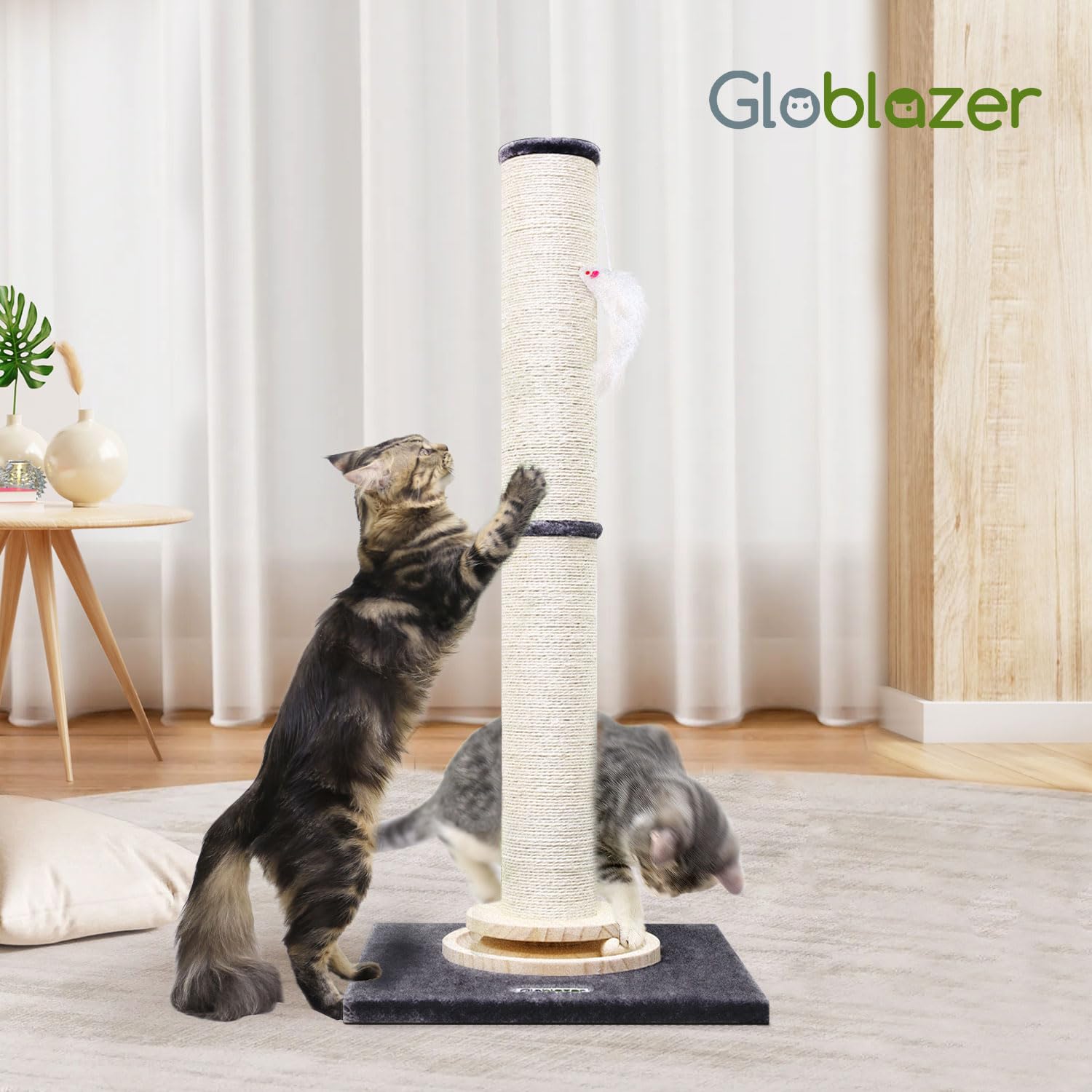 Globlazer Kratzstamm XXL, Kratzsäule Groß Stabil hoch 90 cm & 50 cm 2 IN 1 mit Plüsch Katzenspielzeug 11cm Dicker Stamm Sisal Holz Trackingball, Kratzbaum XXL für Große Katzen (SC35, Dunkelgrau)