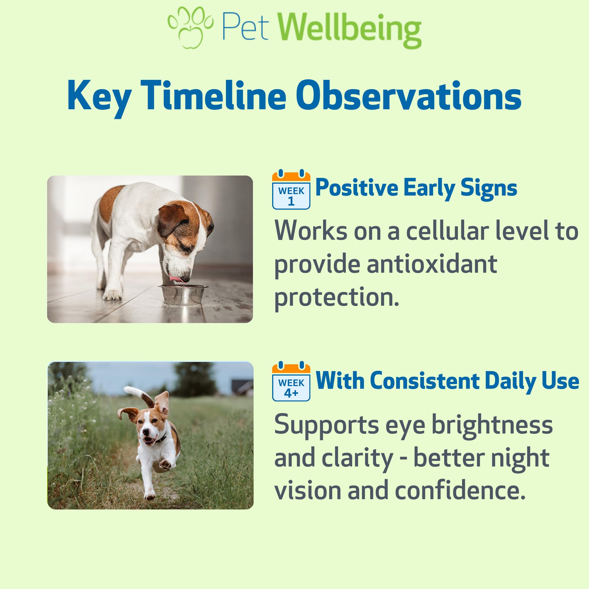 Pet Wellbeing Organic Bilberry for Dogs - Eye Health & Vision Support, 2 oz — Amazon image 8