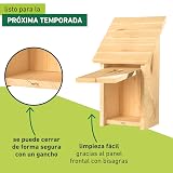 Ver la foto 6