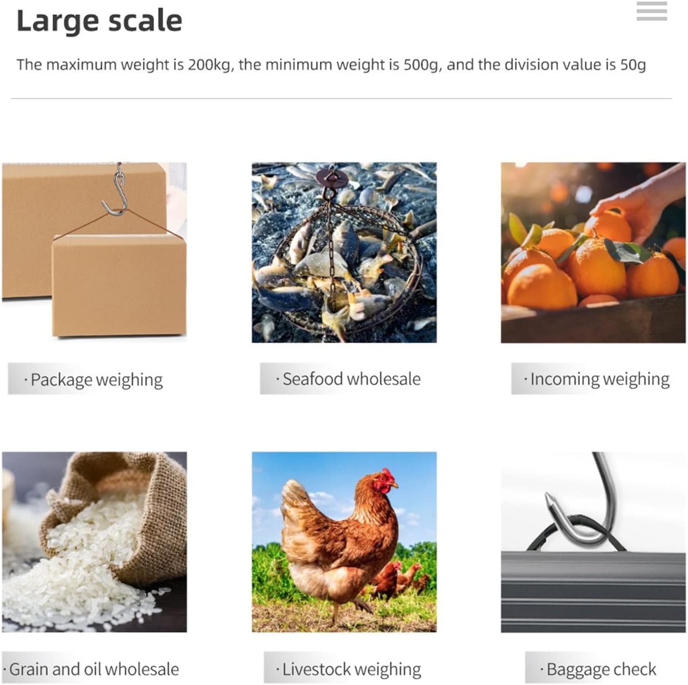 Industrial Platform scaleIndustrial Crane Scale 200kg 50gmini Crane scalePortable Digital scaleHeavy Duty Hook scaleStainless Steel Industrial Crane Scale (Black)