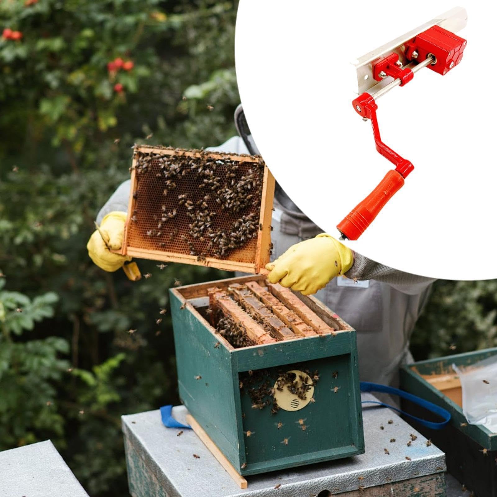 Générique Barre de Manivelle pour Extracteur de Miel, Outil D'apiculture, pour 4 Cadres