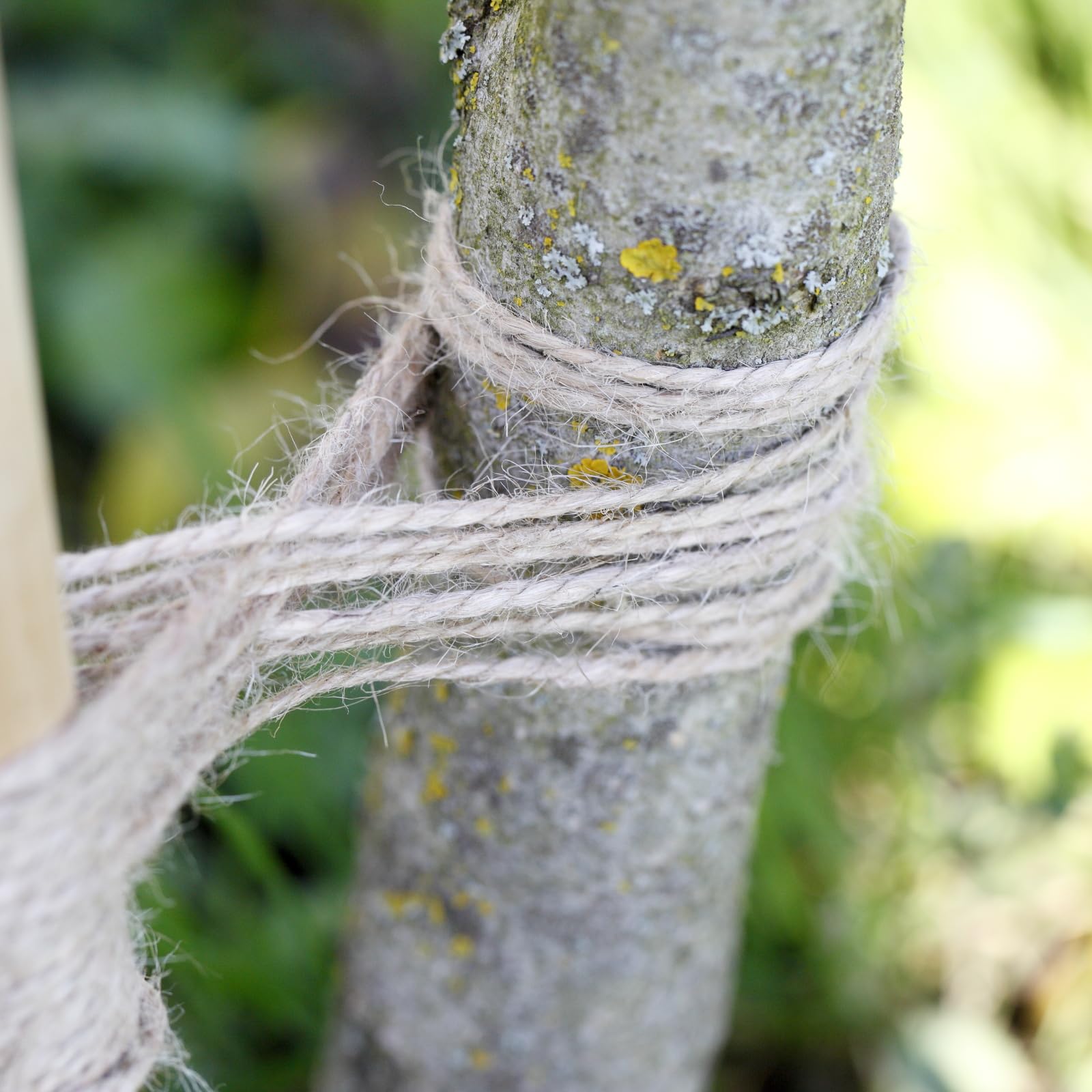 La Cordeline - Ficelle Jute Naturelle 2mm, Bobine ± 6750 Mètres - Format Professionnel 9Kg - Corde Jute pour Emballage, Bottelage Jardinage